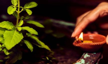 शाम को तुलसी के पास दीया जलाना क्यों माना जाता है शुभ? जानें फायदे