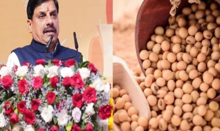 सोयाबीन किसानों के लिए राहत: मोहन सरकार देगी प्रति क्विंटल 1,300 रुपये का भावांतर