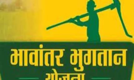 भावांतर योजना में आज 4036 रुपए प्रति क्विंटल का मॉडल रेट जारी