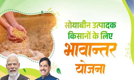 भावांतर योजना में आज का मॉडल रेट 4056 रुपए प्रति क्विंटल जारी