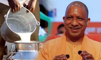 विशेष आर्टिकल- नंद बाबा दुग्ध मिशन: उत्तर प्रदेश में डेयरी क्रांति का नया अध्याय – किसानों की आय दोगुनी से आत्मनिर्भर ग्रामीण अर्थव्यवस्था तक