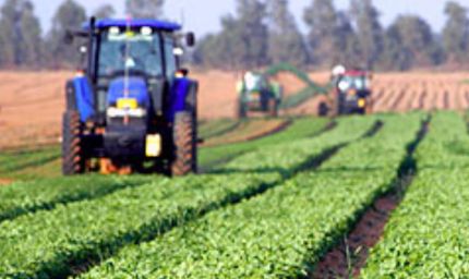 विशेष आर्टिकल- उत्तर प्रदेश में कृषि क्षेत्र का स्वर्णिम उत्थान: योगी सरकार की उपलब्धियां और किसानों की प्रेरक सफलता कहानियां