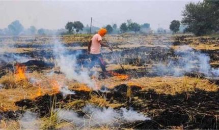 सख्ती के बाद भी नहीं थम रही पराली की आग, जिले के 5 गांव पहुंचे येलो जोन में