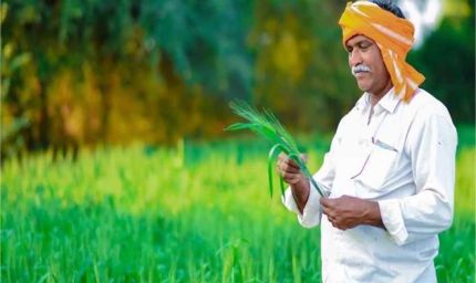 सरकार का सख्त फैसला: अब किसानों को 30 दिन में मिलेगा फसल बीमा क्लेम, कंपनियों पर लगाम