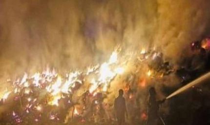 पराली कांड पर कड़ा एक्शन: फतेहाबाद SP ने 4 पुलिसकर्मी सस्पेंड किए, 23 को नोटिस