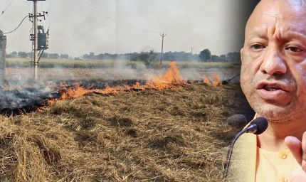 मुख्यमंत्री योगी के सख्त निर्देशों का असर, उत्तर प्रदेश में पराली जलाने की घटनाओं में आई उल्लेखनीय कमी
