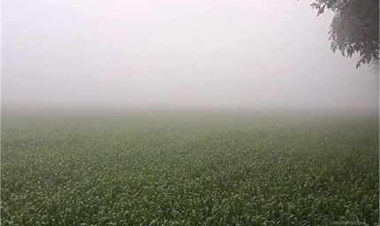 पंजाब में ठंड का पहला बड़ा असर, ये जिला बना ‘मिनी शिमला’