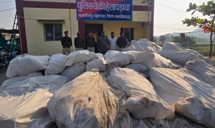 नशे के विरूद्ध खरगोन पुलिस की अब तक की सबसे बड़ी कार्रवाई पहाड़ी क्षेत्र में अवैध गांजा की खेती का भंडाफोड़