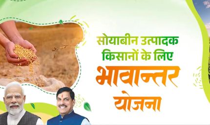 भावांतर योजना में सोयाबीन का मॉडल रेट बढ़कर हुआ 4184 रुपए