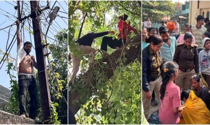 MP News: इंदौर में अवैध मकान हटाने पर युवक ने पकड़ा बिजली का तार, युवती पेड़ पर चढ़ी