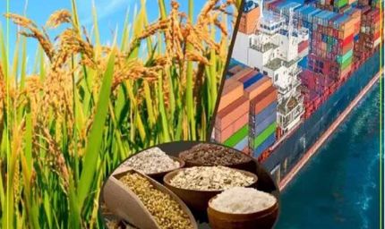 मध्यप्रदेश बना भारत का फूड-बास्केट, कृषि विकास में रचा नया इतिहास