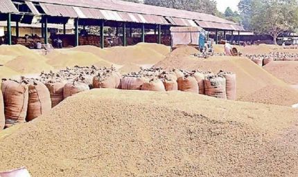 पैक्सों और व्यापार मंडलों के माध्यम से फरवरी 2026 तक होगी धान की खरीद