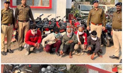 मध्यप्रदेश पुलिस द्वारा अंतरराज्यीय वाहन चोरी के प्रकरणों में व्यापक कार्रवाई