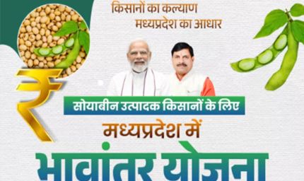 भावांतर योजना में सोयाबीन का मॉडल रेट बढ़कर हुआ 4267 रुपए
