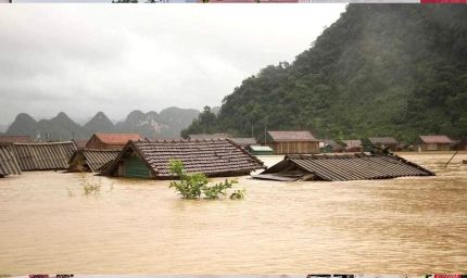 वियतनाम में बाढ़ का कहर: 67,700 से अधिक घर डूबे, अनाज और पशुओं पर भी संकट