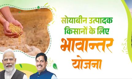 भावांतर योजना में सोयाबीन का मॉडल रेट बढ़कर हुआ 4271 रुपए