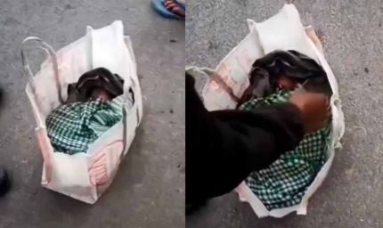 इंसानियत शर्मसार: थैले में मिली नवजात , लोगों ने रोने की आवाज पर बचाई जान