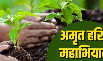 अमृत हरित महाअभियान के लिये संभागवार बैठकें, स्थानीय नर्सरियों को सुदृढ़ करने के निर्देश