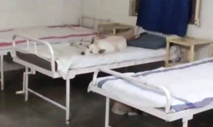 सरकारी अस्पताल की शर्मनाक तस्वीर: मरीजों की जगह बेड पर कुत्तों का कब्ज़ा