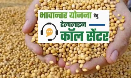 भावांतर योजना में सोयाबीन का मॉडल रेट बढ़कर हुआ 4285 रुपए