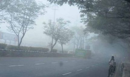 मुरादाबाद में बढ़ी सर्दी: न्यूनतम तापमान 10 डिग्री, कोहरा छाया