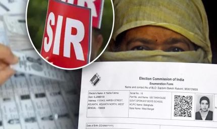 MP: SIR फॉर्म भरने में भाग और क्रमांक संख्या अनिवार्य, जानें पूरा प्रोसेस