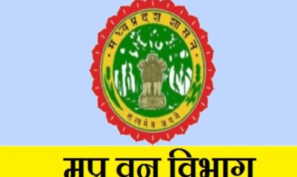 मध्य प्रदेश वन विभाग का बड़ा एलान: उच्च पदस्थ अधिकारियों को नहीं होगा डिमोट, कर्मचारियों में राहत