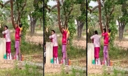 सूरजपुर: स्कूल में मासूम बच्चे को टी-शर्ट से पेड़ पर लटकाने का वीडियो वायरल, प्रशासन में खलबली
