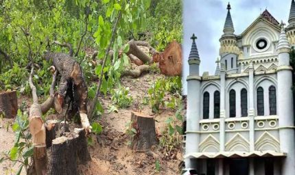 MP हाईकोर्ट का आदेश: बिना अनुमति कोई भी पेड़ नहीं काटा जाएगा, 'ग्रीन कवर नष्ट करना विनाश है