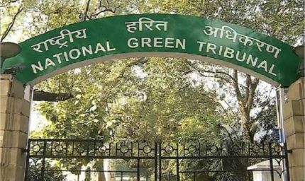 पंजाब में जल संकट पर NGT सख्त, कई शहरों को साफ पानी न देने पर फटकार