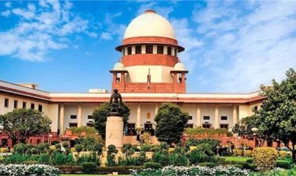 करनाल में सड़क निर्माण के लिए 40 पेड़ काटे, सुप्रीम कोर्ट ने हरियाणा सरकार को लगाई कड़ी फटकार