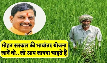भावांतर योजना में सोयाबीन का मॉडल रेट 4260 रुपए जारी