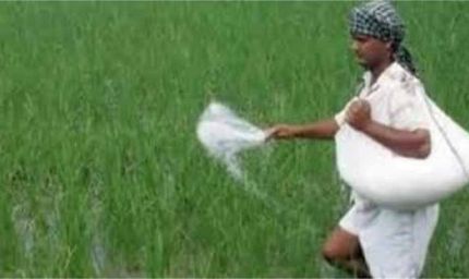 हरियाणा में खाद वितरण का नया नियम लागू, अब किसानों को ये काम करने पर ही मिलेगी खाद