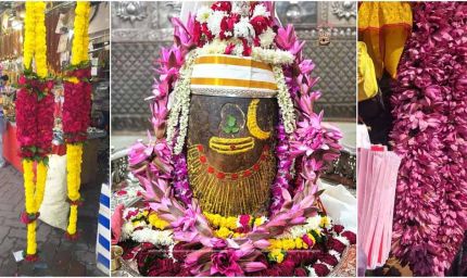 महाकाल की अद्भुत शृंगार लीला: 15 किलो की ‘अजगर माला’ से हुआ भव्य अभिषेक