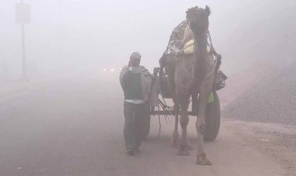 राजस्थान में ठंड बढ़ी: बारिश के बाद कई जिलों में घना कोहरा छाएगा