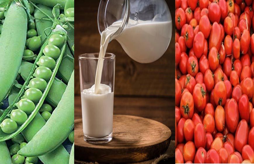 मध्य प्रदेश कृषि में अव्वल: टमाटर में पहला, मटर में दूसरा स्थान; दुग्ध उत्पादन 20% बढ़ाने का लक्ष्य