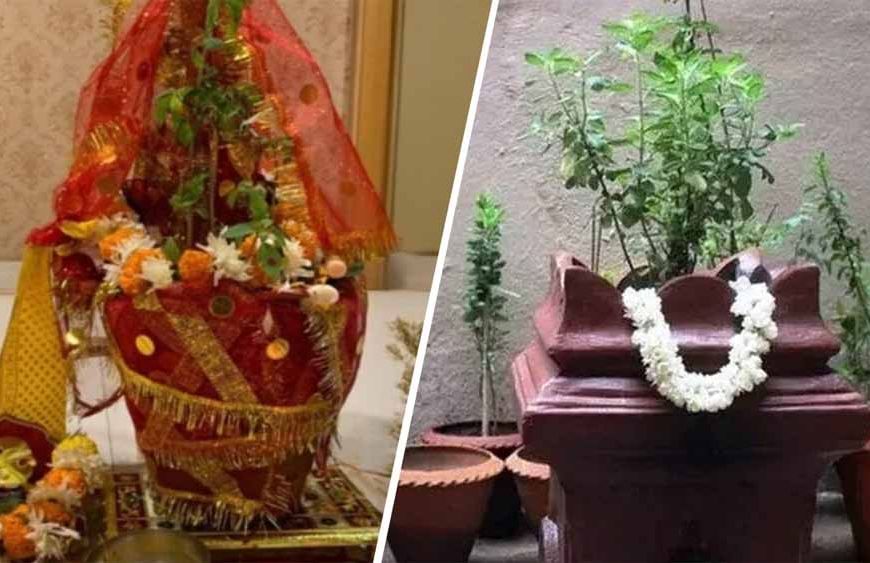 तुलसी विवाह 2025: जानें 2 या 3 नवंबर में कौन-सी है सही तिथि, शुभ मुहूर्त और पूजा विधि