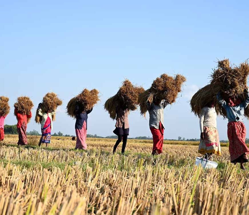 राजस्थान के किसानों को बड़ी राहत: सीएम भजनलाल ने 7.63 लाख किसानों के लिए राहत पैकेज को दी मंजूरी