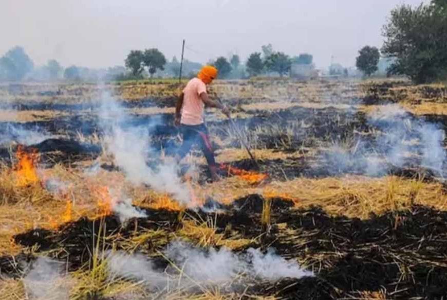 हरियाणा सरकार का बड़ा फैसला: अब पराली से बनेगी खाद, किसानों की दोहरी कमाई पक्की!