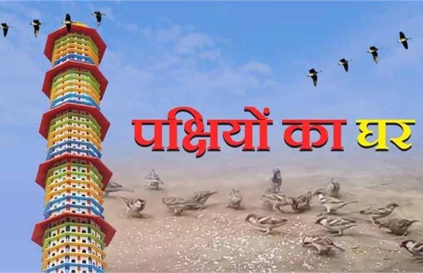 गुरुग्राम में बनेंगे चार नए ‘पक्षी घर’, पंचकूला मॉडल पर मिलेगा हजारों पक्षियों को सुरक्षित ठिकाना