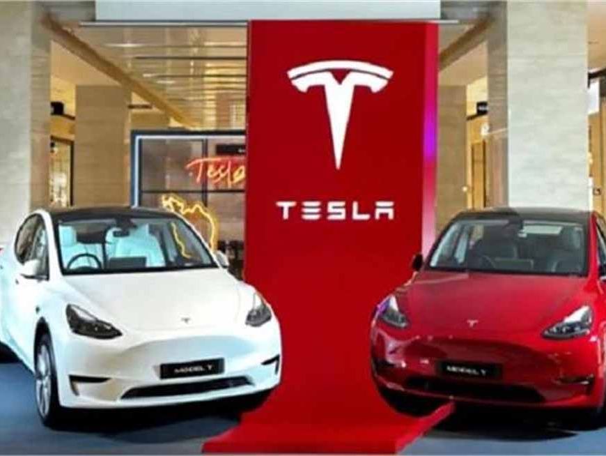 हरियाणा में टेस्ला की एंट्री! जानिए किस जिले में खुलेगा देश का पहला सर्विस सेंटर