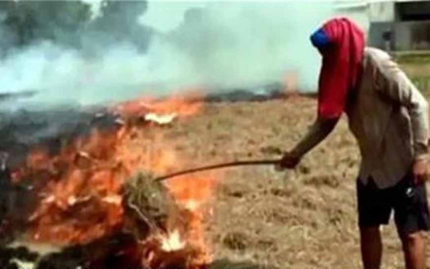 पराली जलाने वालों पर सख्त कार्रवाई: किसानों की जमीन रिकॉर्ड में होगी 'लाल एंट्री'
