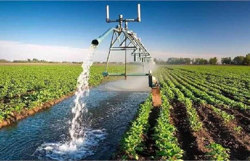 हरियाणा में किसानों को बड़ी राहत: सिंचाई के लिए जल्द मिलेगी पर्याप्त पानी की सुविधा