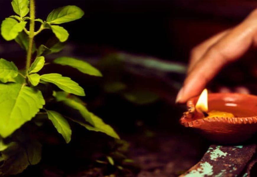 शाम को तुलसी के पास दीया जलाना क्यों माना जाता है शुभ? जानें फायदे