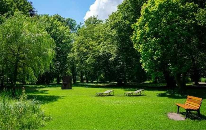 हरियाणा के पार्कों में बड़ा बदलाव! आयोग ने दिए हरे-भरे और सुंदर बनाने के निर्देश