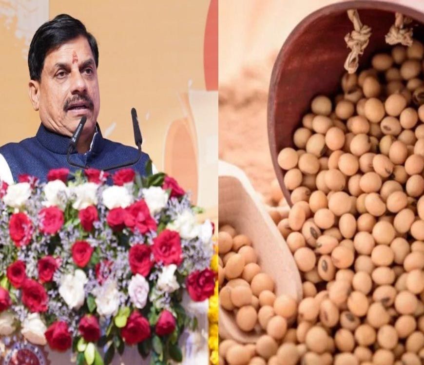 सोयाबीन किसानों के लिए राहत: मोहन सरकार देगी प्रति क्विंटल 1,300 रुपये का भावांतर