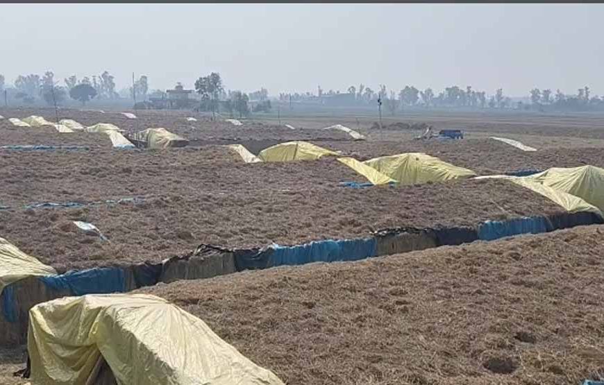 8वीं पास किसान की बड़ी कमाई: मशरूम फार्मिंग से सालाना 7 करोड़ रुपए की आय