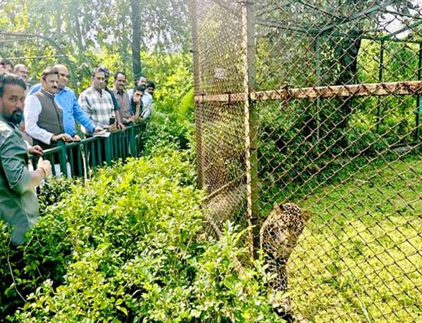 उप मुख्यमंत्री राजेन्द्र शुक्ल ने व्हाइट टाइगर सफारी का किया भ्रमण