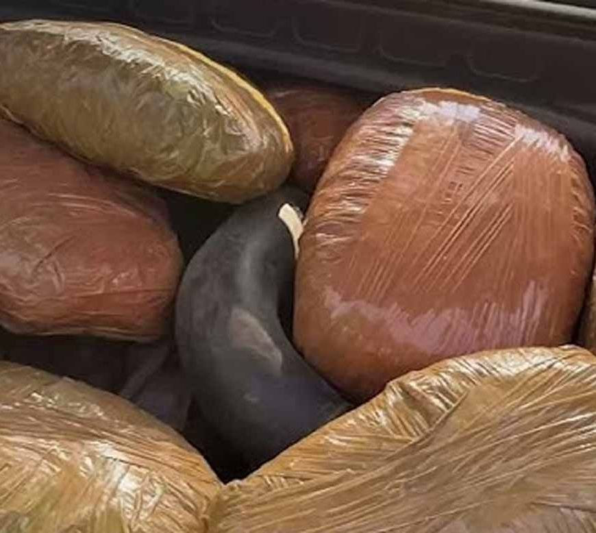 अवैध मादक पदार्थों के विरुद्ध मध्यप्रदेश पुलिस की प्रभावी कार्रवाई