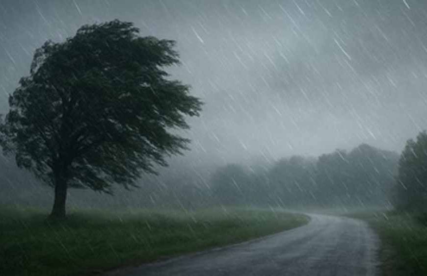 21-25 नवंबर तक बदलेगा मौसम का मिजाज: नया पश्चिमी विक्षोभ होगा सक्रिय